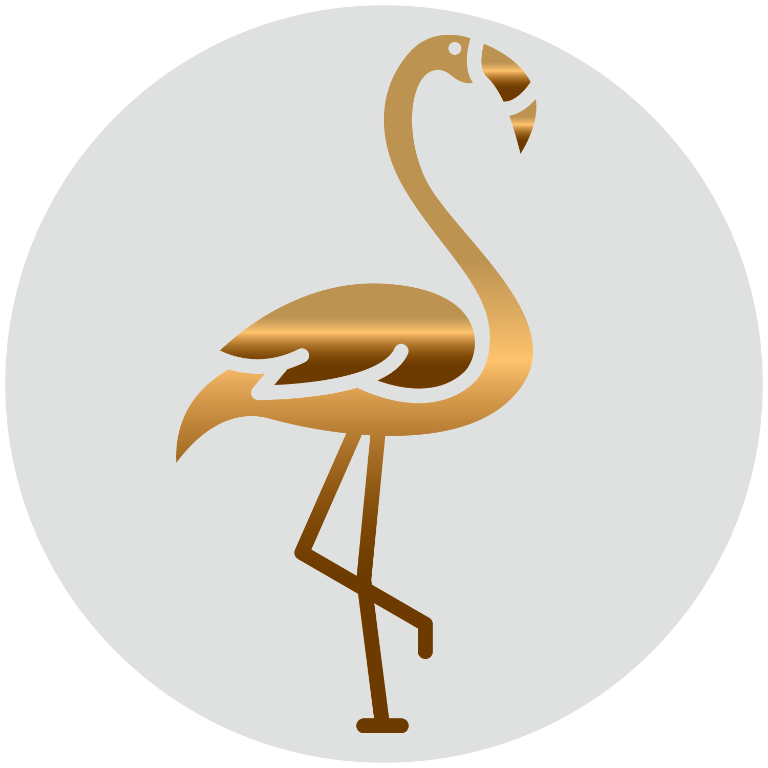 flamingo_netzwerk